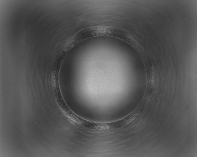X0000054380715200508011254