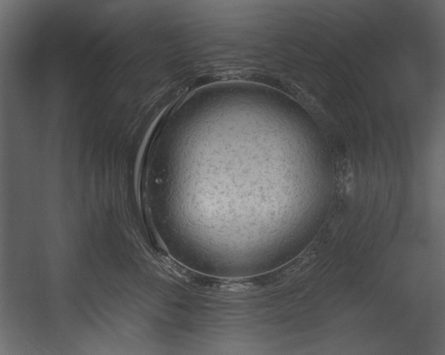 X0000054380716200508011253