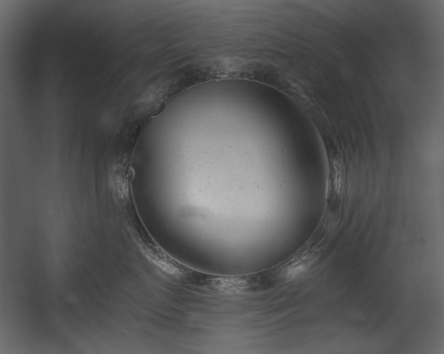 X0000054380719200508011253