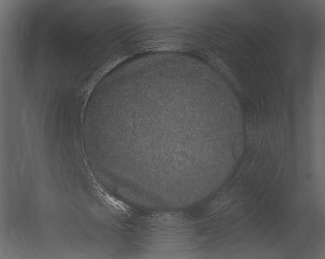 X0000054380721200508011253