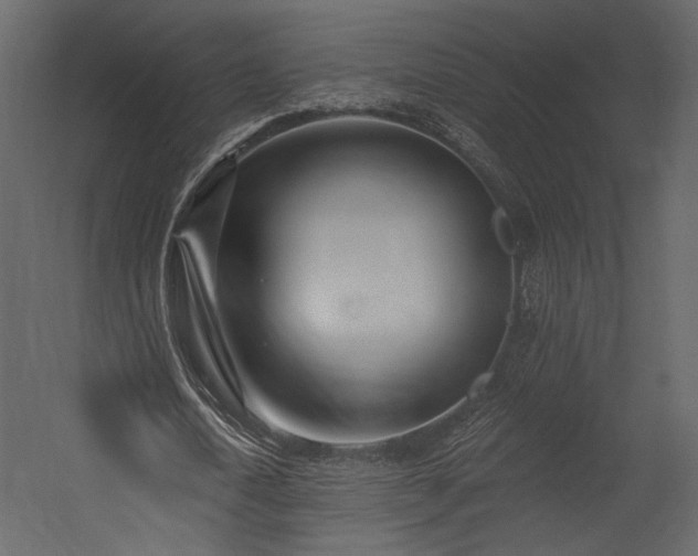X0000054380722200508011253