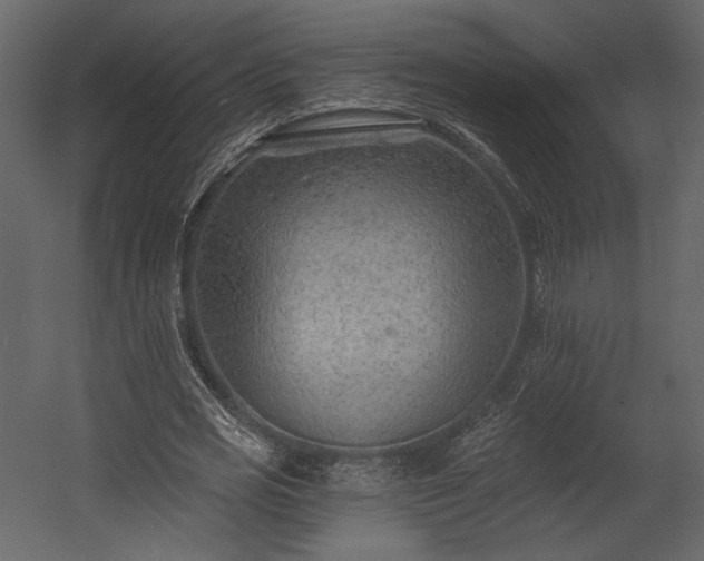 X0000054380725200508011253