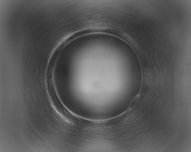 X0000054380726200508011253