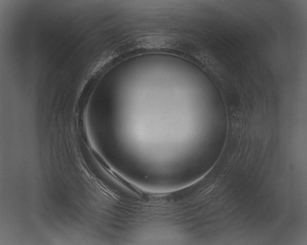 X0000054380727200508011253
