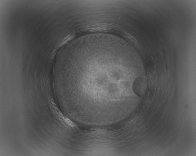 X0000054380729200508011253