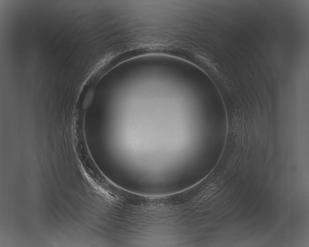 X0000054380730200508011253