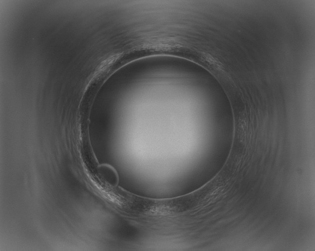 X0000054380734200508011253