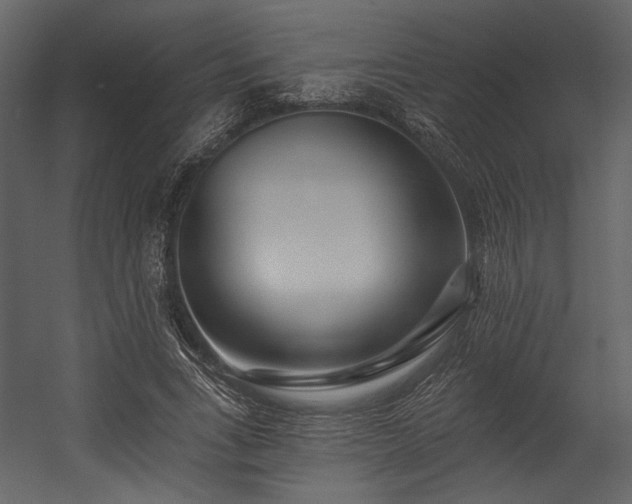 X0000054380735200508011253