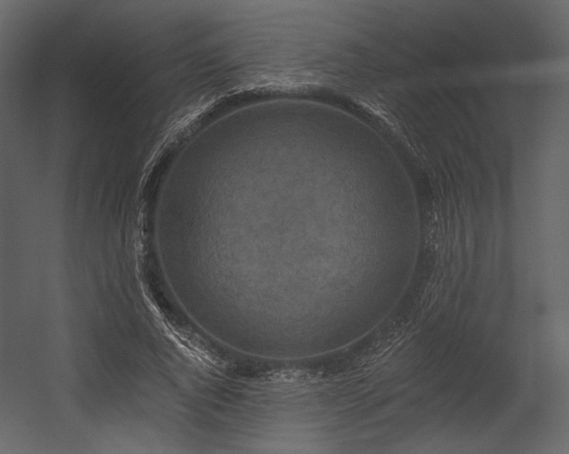 X0000054380736200508011253