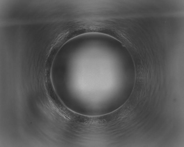 X0000054380738200508011253