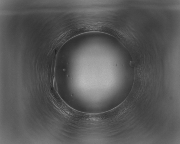 X0000054380741200508011253