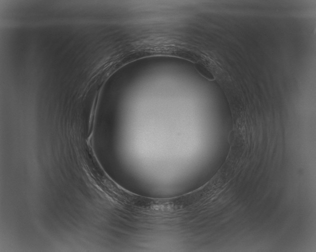 X0000054380744200508011253