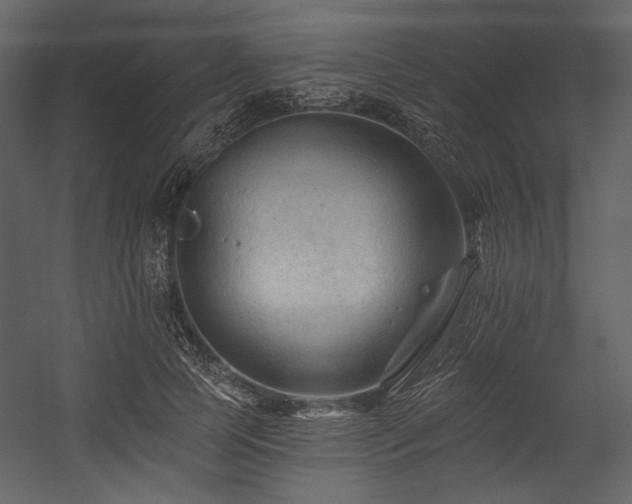 X0000054380745200508011253