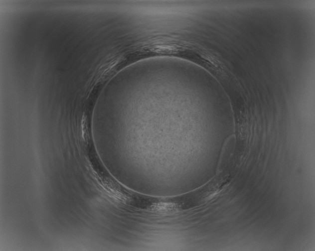X0000054380748200508011253