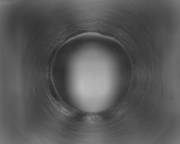 X0000054380752200508011253