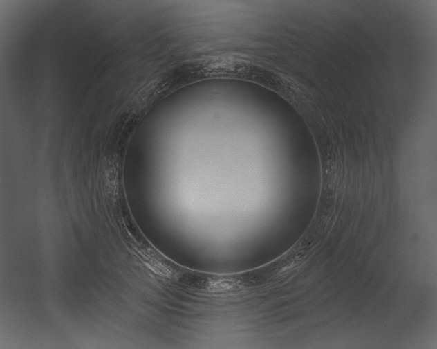 X0000054380753200508011253