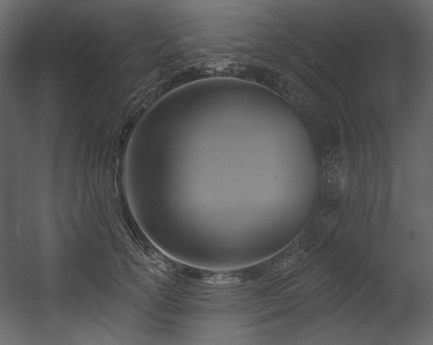 X0000054380754200508011253