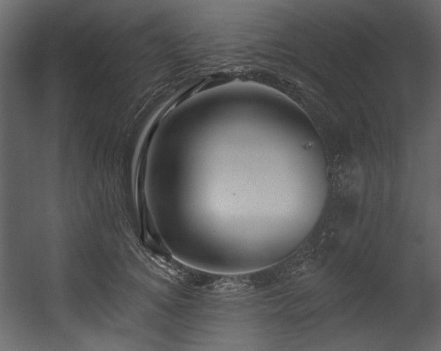 X0000054380756200508011253