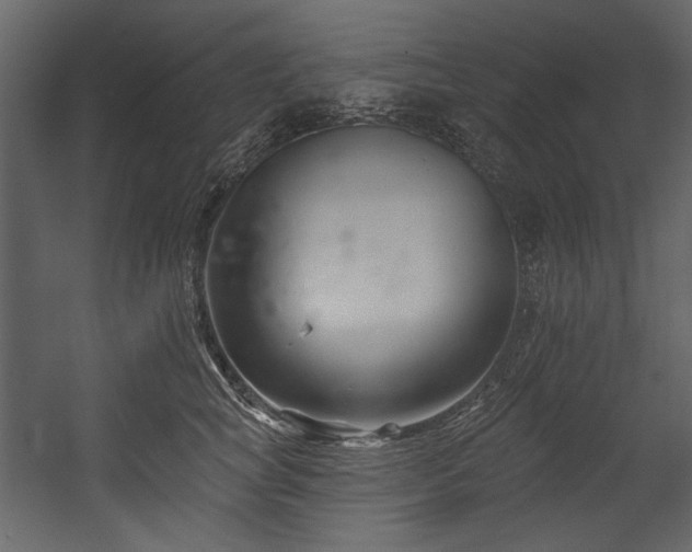 X0000054380757200508011253