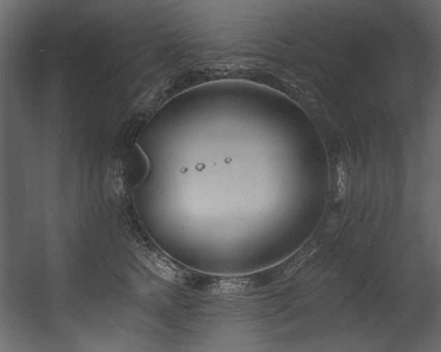 X0000054380758200508011253