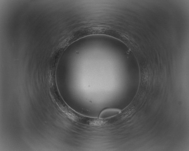 X0000054380759200508011253