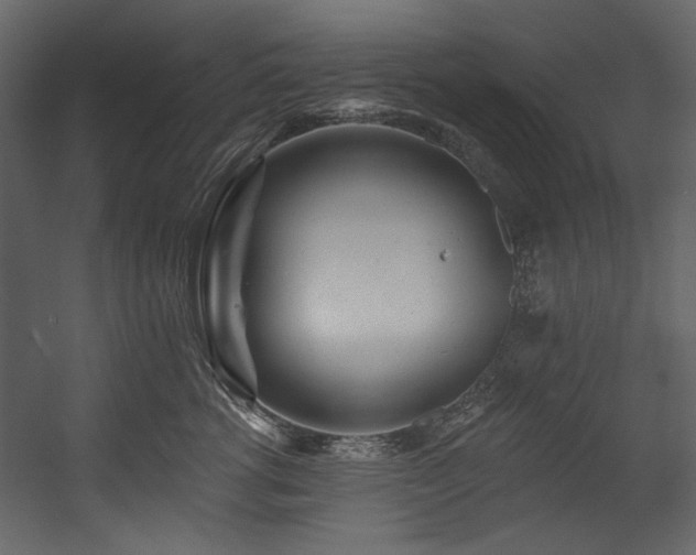X0000054380762200508011253