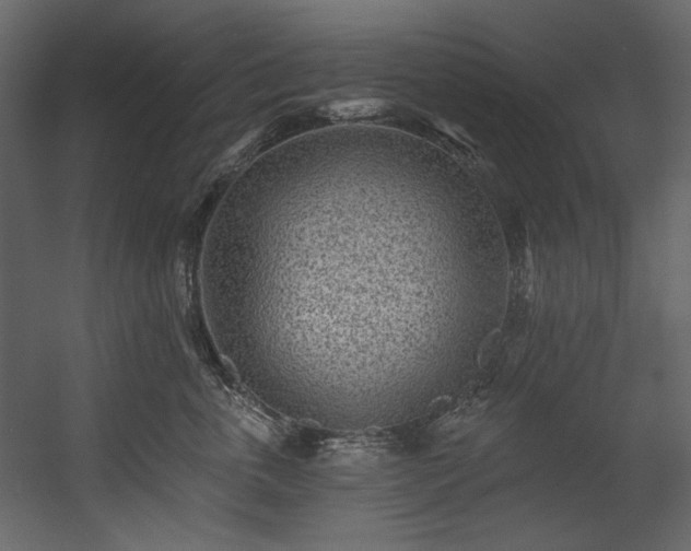 X0000054380763200508011253