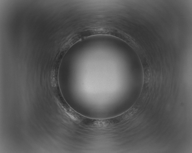 X0000054380764200508011253