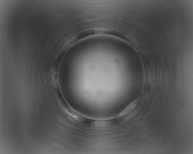 X0000054380766200508011253