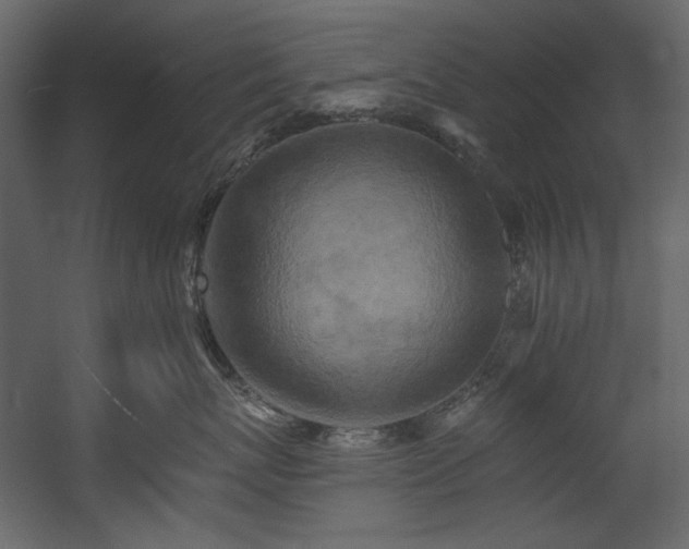 X0000054380767200508011253