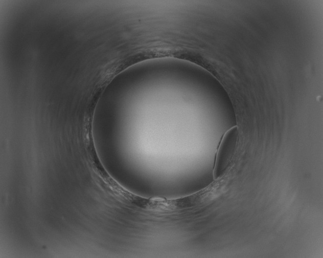 X0000054380768200508011253