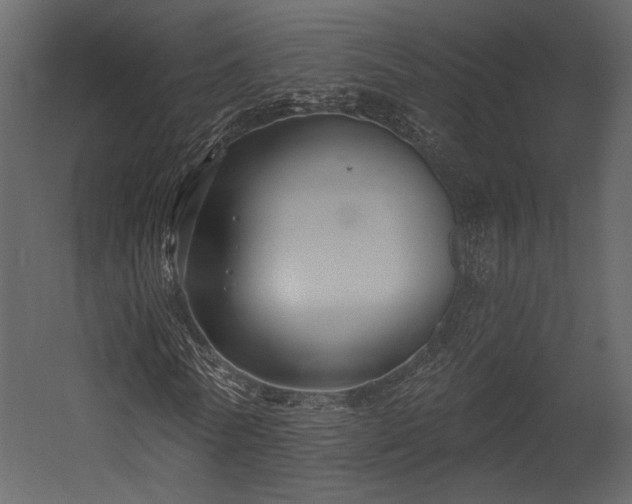 X0000054380770200508011253
