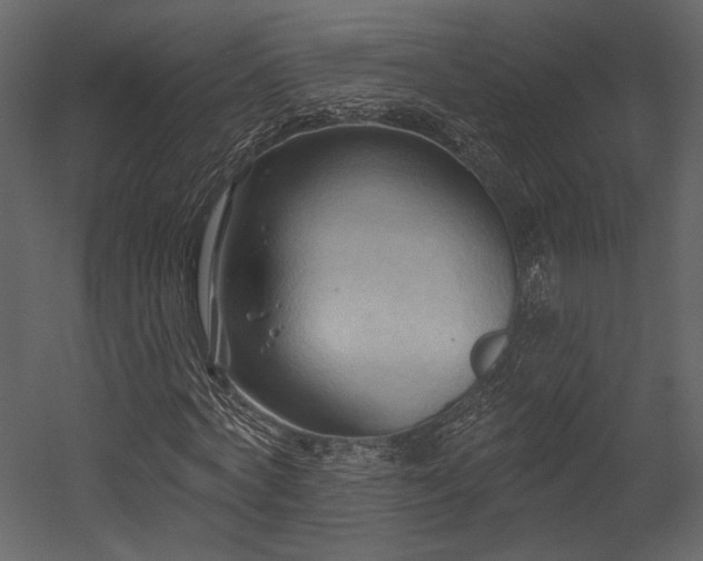 X0000054380772200508011253