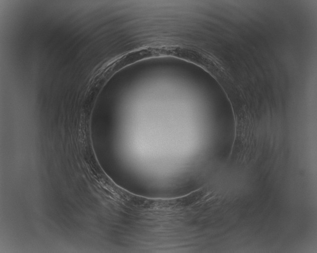 X0000054380773200508011253