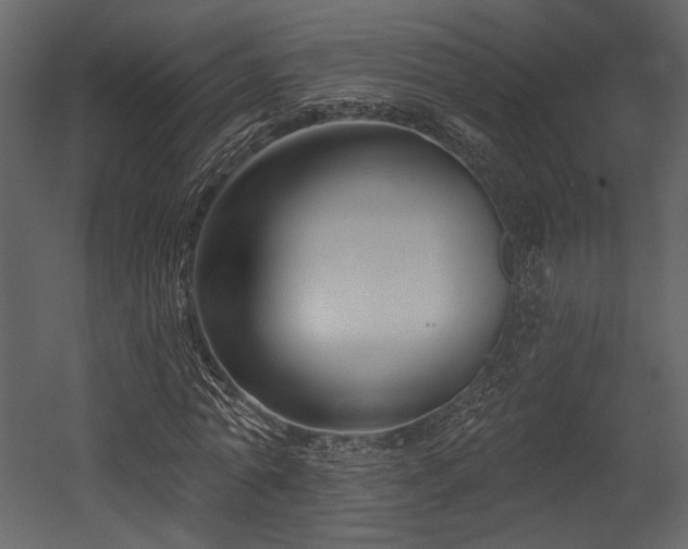 X0000054380774200508011252
