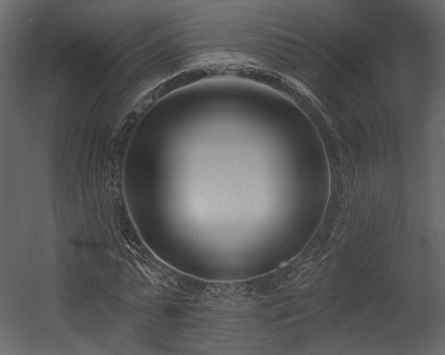 X0000054380775200508011252