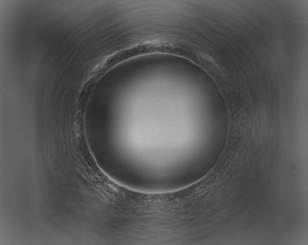 X0000054380776200508011252