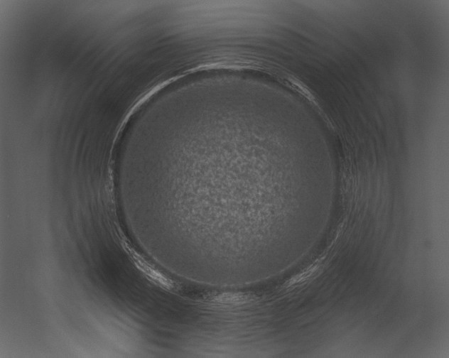 X0000054380779200508011252