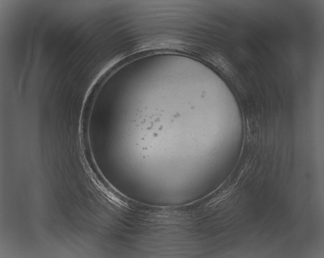 X0000054380780200508011252