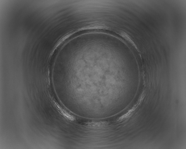 X0000054380781200508011252