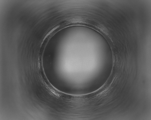 X0000054380782200508011252