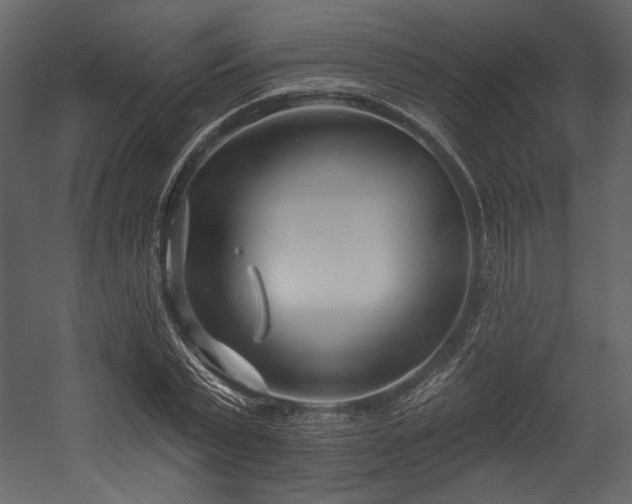 X0000054380783200508011252