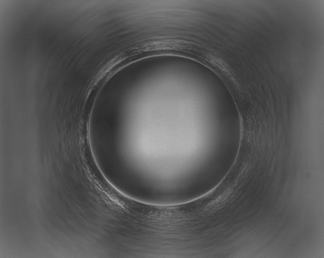 X0000054380786200508011252
