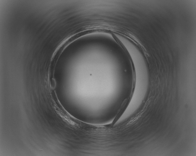 X0000054380788200508011252