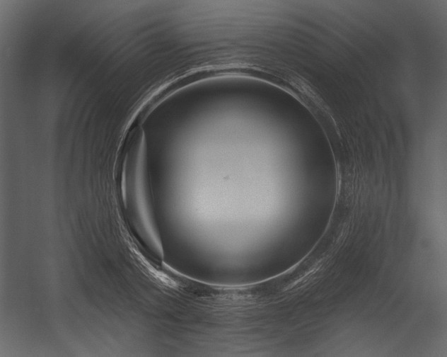 X0000054380789200508011252