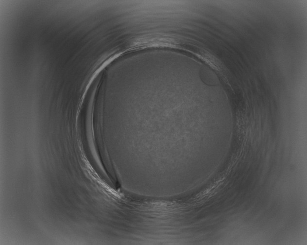 X0000054380790200508011252