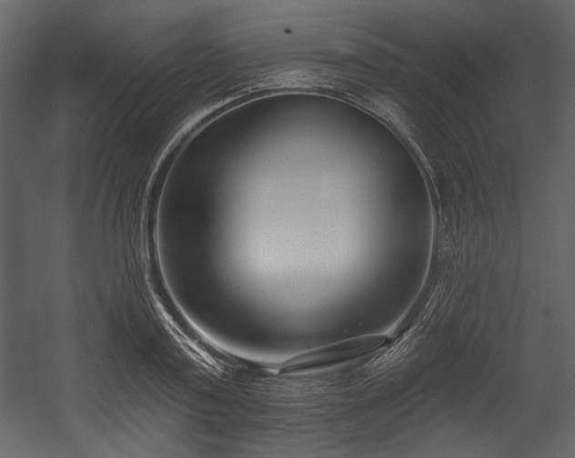 X0000054380795200508011252