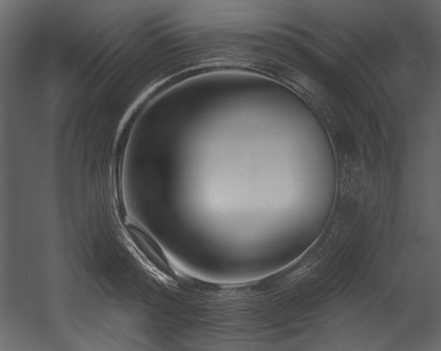 X0000054380796200508011252