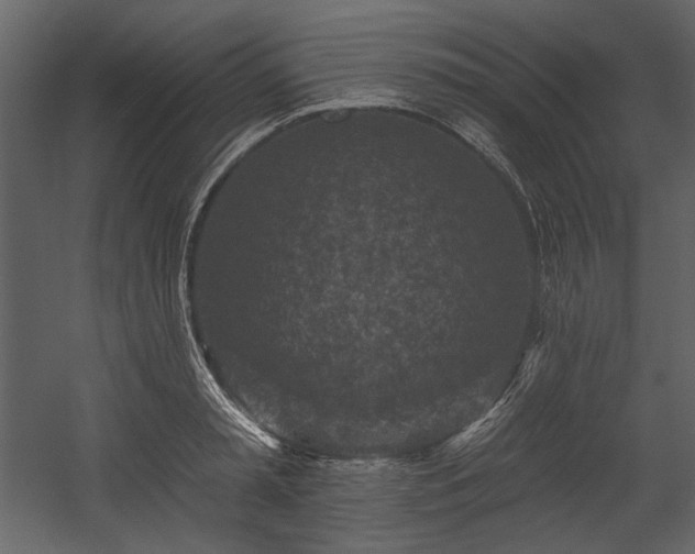 X0000054380797200508011252