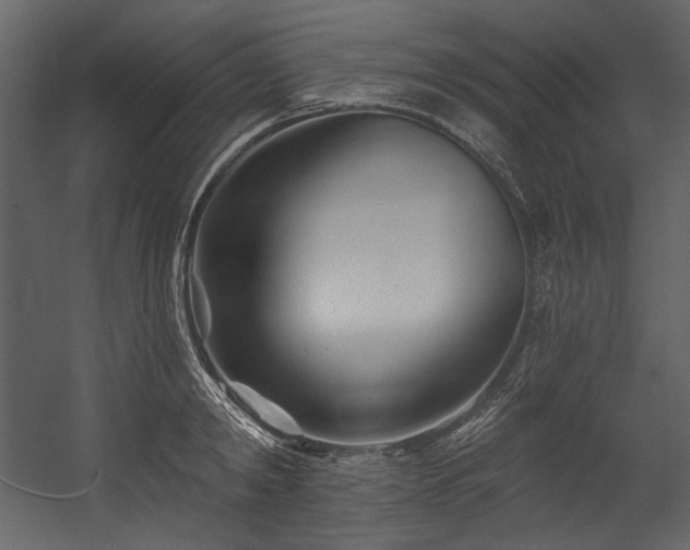 X0000054380798200508011252